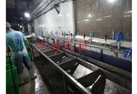 皮帶式重量分選機