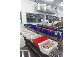 塑料盒式重量分揀機