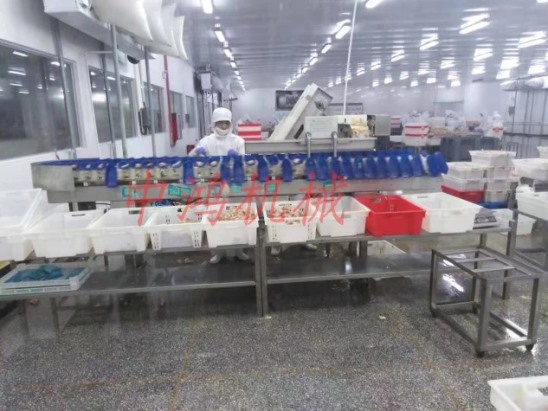 塑料盒式重量分揀機(jī)