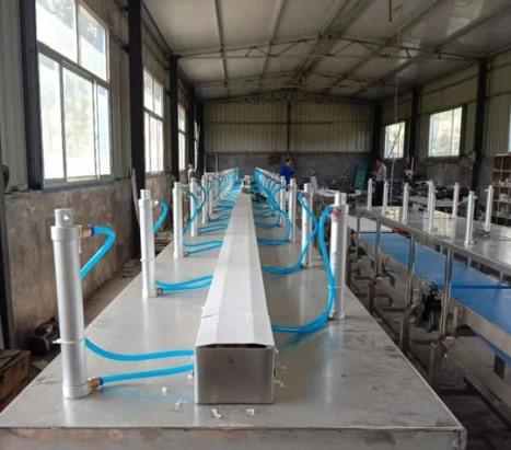 皮帶式重量分揀機(jī)