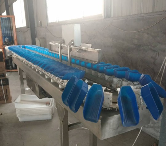 塑料盒式重量分揀機