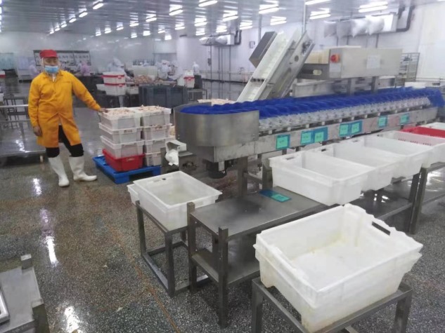 塑料盒式重量分揀機(jī)